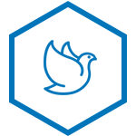 BG视讯,BB电子官方网站首页,BBIN官方网站登录传动